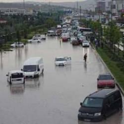 İklim değişikliğine bağlı afetler biyo&ccedil;eşitliliği tehdit ediyor