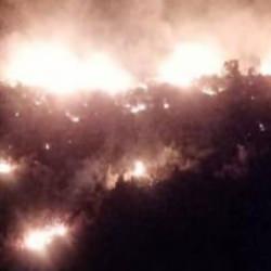 Antalya ve İzmir'de orman yangını