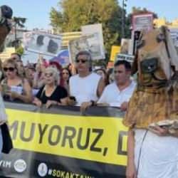 Yasaya karşı çıkanlar şimdi de köpek kılığına girdi