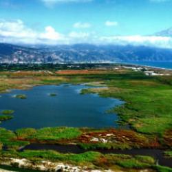 Yüzlerce tür göçmen kuş Milleyha Kuş Cenneti’nde!