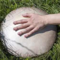 Kars’ta yağışların ardından dev mantar sürprizi: 40 santimetreyi aşan bile var!