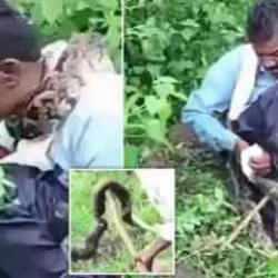 &Ccedil;alılıklara tuvaletini yaparken hayatının şokunu yaşadı