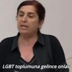 DEM Parti'li Sevilay &Ccedil;elenk Meclis'te LGBT hareketini savundu! Skandal s&ouml;zler