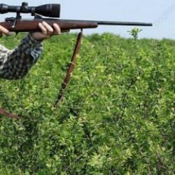 Domuz sandığı kayın&ccedil;osunu vurdu