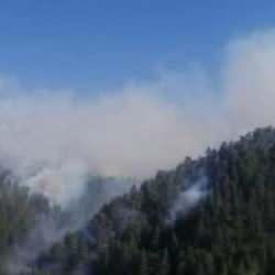 Dört ilde orman yangını çıktı