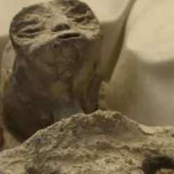 Peru'da sergilenmişti: 'Uzaylı Mumya' iddiasında yeni gelişme ortaya çıktı!
