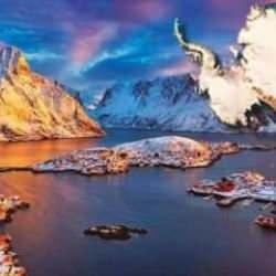 Şans eseri keşfedildi! Kayıp kıta bulundu