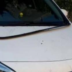 Sokak k&ouml;pekleri park halindeki otomobili par&ccedil;aladı!