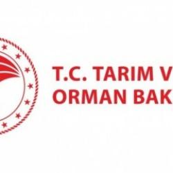 Tarım ve Orman Bakanlığı ekipleri büyüttüğü kukumav kuşlarına isim arıyor