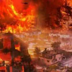 Türkiye tarihinin en büyük yangını olarak kayıtlara geçti! Kara toprak yeniden yeşerdi...