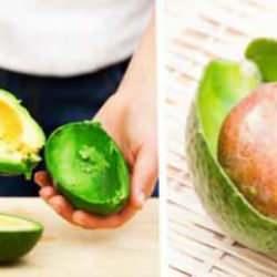 Avokadonun en yararlı yerini çöpe atmayın! Avokado kabuğu yeniden nasıl kullanılır?