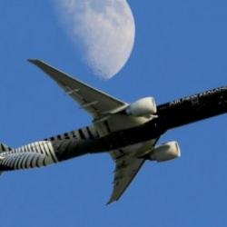 Çılgın Proje! Ay'ı Nuh'un gemisi olarak kullanacaklar...