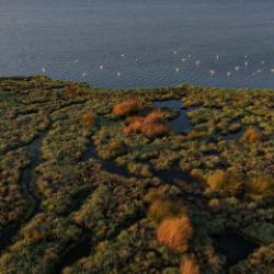 G&ouml;&ccedil;men kuşların cenneti &Ccedil;akalburnu Lag&uuml;n&uuml; havadan g&ouml;r&uuml;nt&uuml;lendi