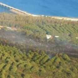 İzmir'de orman yangını çıktı