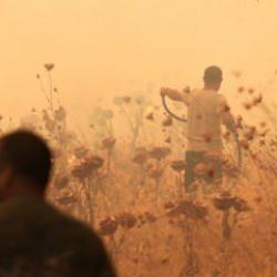 İzmir'in Urla ilçesinde çıkan orman yangınına müdahale ediliyor