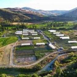 Bayburt'ta sebze ihtiyacının üçte biri ekolojik köyden karşılanıyor