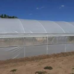 Edirne'de sera alanının devlet desteğiyle 500 dekara çıkarılması hedefleniyor