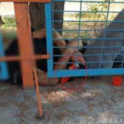 Elinde &ccedil;akmak gazıyla duvarda &ouml;l&uuml; bulundu!