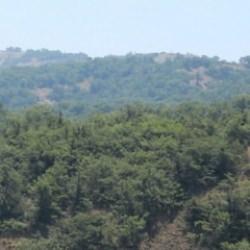 İstanbul'un Şile ilçesindeki bazı alanlar orman sınırları dışına çıkartıldı
