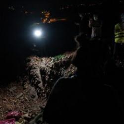 'Köpek katliamı' denilmişti! Bakın ne çıktı?