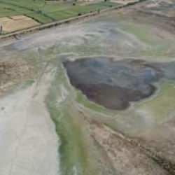 Korkutan g&ouml;r&uuml;nt&uuml;! G&ouml;&ccedil;men kuşlara ev sahipliği yapan g&ouml;let kurudu