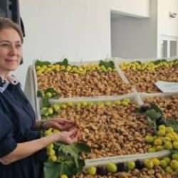 Sezonun ilk kuru inciri 600 TL'den satıldı