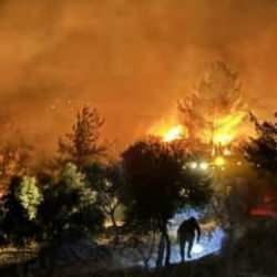 Alevlerle canhıraş mücadele! Orman yangınlarında son durum ne?