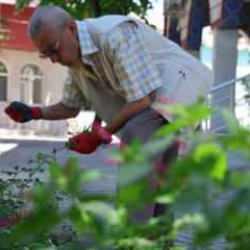 86 yaşında Mehmet dede kendini camiye adadı: 'Dünyayla ilişiğimi kestim'