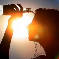 Avrupa'da aşırı sıcaklar 47 bin fazla can aldı