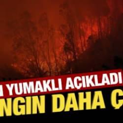 Bakan Yumaklı açıkladı: 3 yangın daha çıktı!