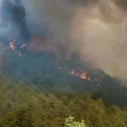 Bakan Yumaklı: İzmir'de 3 bir yandan daha yangın çıktı!