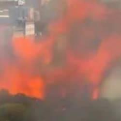  Başakşehir'de yangın: Ağaçlık alana sıçradı