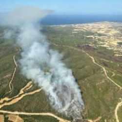 Çanakkale ve Bolu'da orman yangını! Alevler yayılıyor
