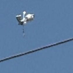 G&ouml;ky&uuml;z&uuml;nde g&ouml;r&uuml;ld&uuml;, kimse ne olduğunu anlayamadı! Hatay'da heyecanlı anlar