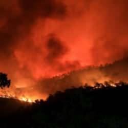 İzmir'de yangın felaketi! Bakan Yumaklı yangının çıkış sebebini açıkladı