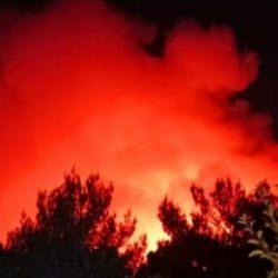 İzmir'deki orman yangını 22 saat sonra kontrol altına alındı