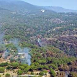 Orman yangınlarıyla mücadele: MSB 15 uçağıyla bölgede!