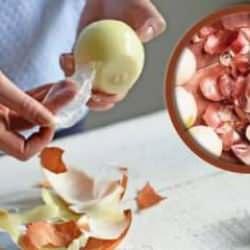 Soğan kabuklarının farklı kullanım alanları nelerdir? 