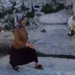 Sokak k&ouml;pekleri dehşeti: Yaşlı kadının etrafını bir anda sardılar! 