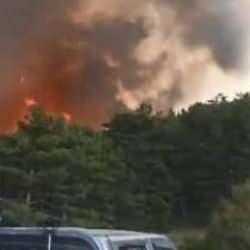 Son dakika: Bolu'da orman yangını!