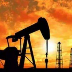 TPAO'nun üç petrol işletme ruhsatının süresi uzatıldı