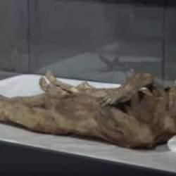 97 yıl önce bulunan çocuk mumyalar, ilk günkü gibi korunuyor