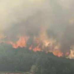 Ankara'da başlayan yangın Gerede'ye sıçradı: Vatandaşlar tahliye edildi!
