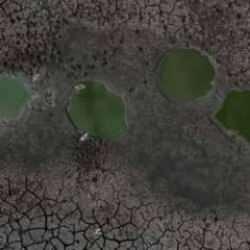 Avrupa'nın doğusunda kuraklık koşulları k&ouml;t&uuml;leşiyor