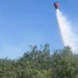 Bergama'daki orman yangını kontrol altına alındı