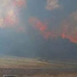 Bolu'da orman yangını! Çok sayıda ekip sevk edildi