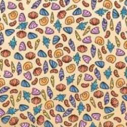 Deniz kabukları arasında gizlenmiş salyangozu 10 saniyede bulabilir misiniz?