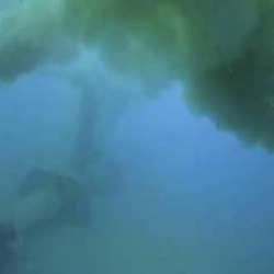 Deniz kirliliğine sebep olan CHP'li Antalya Büyükşehir Belediyesi için harekete geçildi