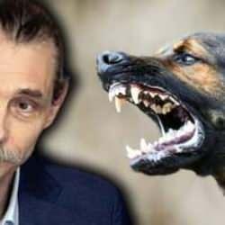 Etimesgut Belediyesi, çocuğu ısıran köpeği yine sokağa bırakacak