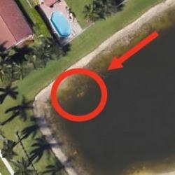 'Google Earth' sayesinde çözülen birbirinden tuhaf gerçek suç dosyaları!